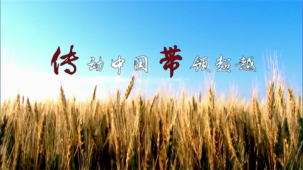 ά˾